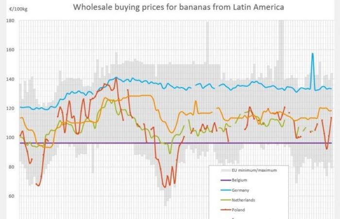 Les prix de la banane en Europe augmenteront jusqu’à 12 euros le kilogramme en décembre 2024