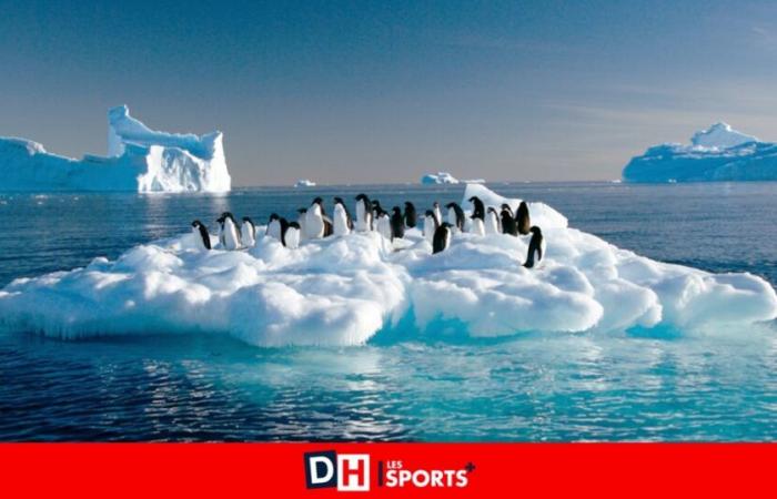 Comment la fonte de la banquise antarctique favorise les tempêtes en Belgique