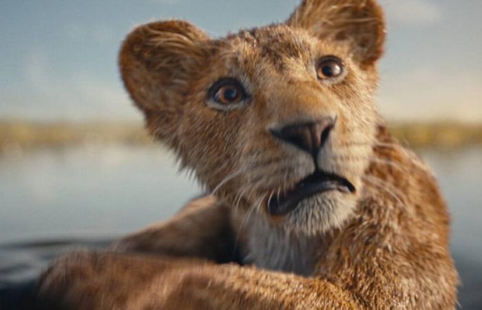 le Roi Lion” chez Disney, à l’image de la bête – Libération