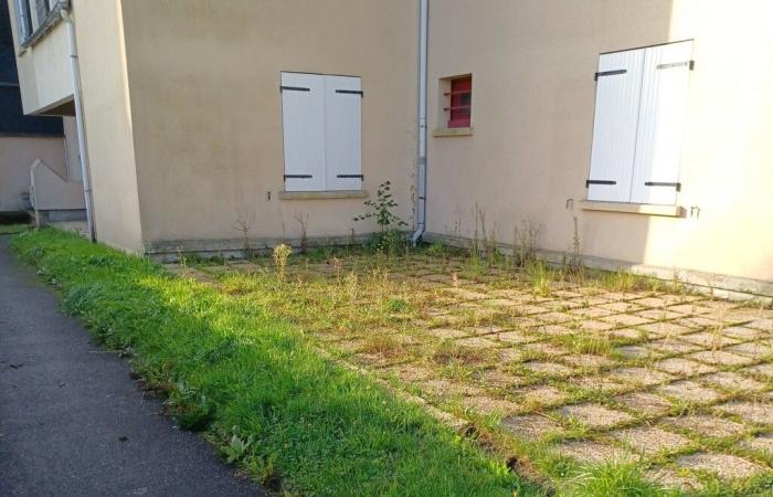 il déplore que « les espaces deviennent verts faute d’entretien »