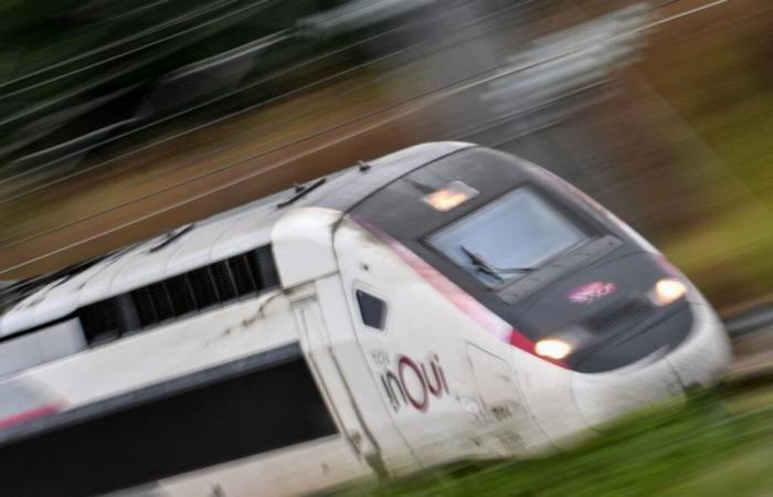 La SNCF retrouve ses recettes d’avant Covid – 18/12/2024 à 14h46