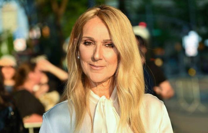 Les bottes Phoenix déroutantes de Céline Dion sont littéralement en feu