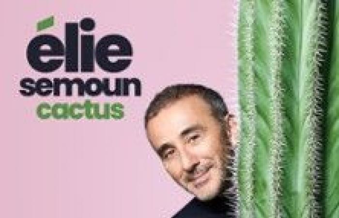 Spectacle Elie Semoun – Cactus