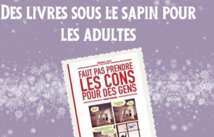 Livres sous le sapin pour adultes :