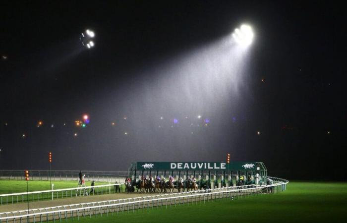 Jeudi 19 décembre à Deauville