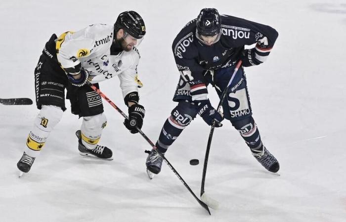 Hockey sur glace – Coupe de France. Ce sera Rouen – Angers en demi-finale. Sport