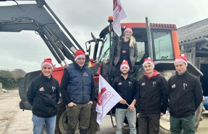 Pour Noël, ces agriculteurs organisent un défilé de tracteurs illuminés dans le Cotentin