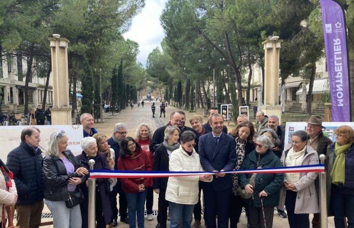 Réaménagée sans voiture, la rue Léon Blum s’inscrit dans une perspective piétonne de 1 500 mètres à Montpellier