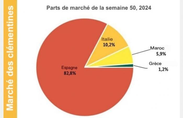 « Les clémentines marocaines ont gagné en importance »