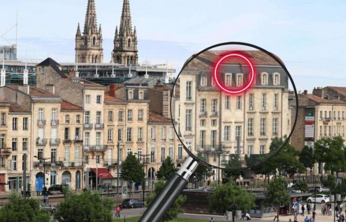 Cet animal effrayant apparu à Bordeaux il y a 150 ans continue de hanter certains greniers alors qu’il est parfaitement inoffensif.