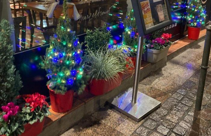 quand les sapins de Noël disparaissent comme par magie à Toulouse…