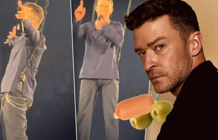 Justin Timberlake moqué en ligne pour son accident de harnais