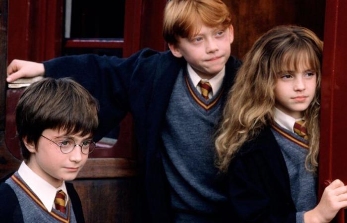 Harry Potter : quand sortira la nouvelle adaptation en série télévisée | MAG