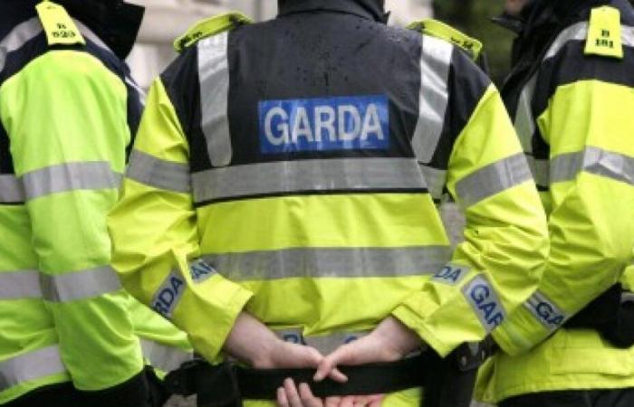 La Gardaí fouille les cellules de la prison de Portlaoise à la suite d’une opération à grande échelle