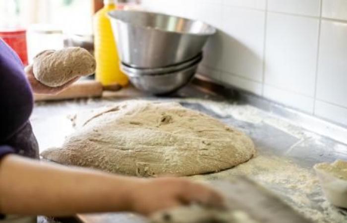 Enrichir la farine en acide folique pour prévenir les malformations chez les nourrissons