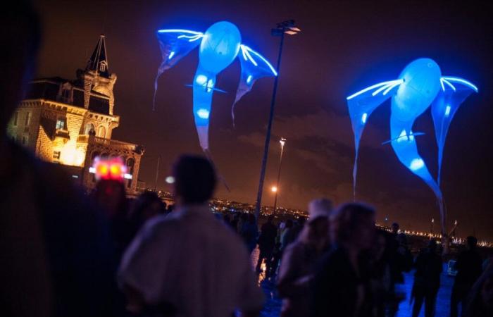 la Nive survolée par de drôles de créatures lumineuses