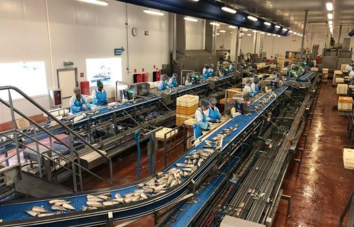 La dernière usine Saupiquet va fermer, 152 salariés priés de « rester chez eux en attendant la lettre de licenciement »