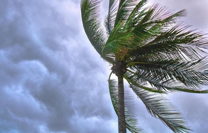 RAPPORT MÉTÉO. La tempête Dionisio met la Corse en alerte orange ce vendredi