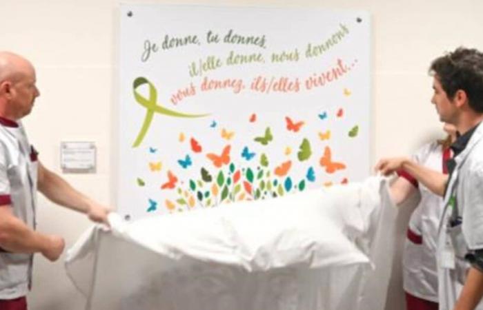 la grippe fait rage, centre médical, cancer du Père Noël, hommage aux donneurs d’organes, quartier de Snoezelen, sports handisport