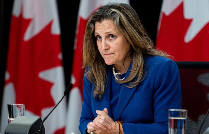 Biographie de Chrystia Freeland | “Elle est très fidèle, mais ce n’est pas un tapis”