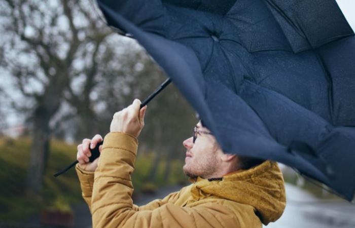 Wind, snow, ice… Météo France activates yellow vigilance in Auvergne-Rhône-Alpes