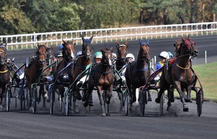 Pronostics hippiques du vendredi 20 décembre 2024