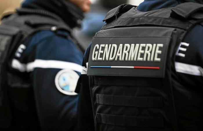 95 arrestations en France dans le démantèlement d’un important réseau international