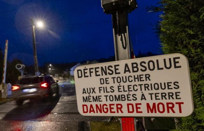 une quadragénaire perd la vie lorsqu’elle est heurtée par un train