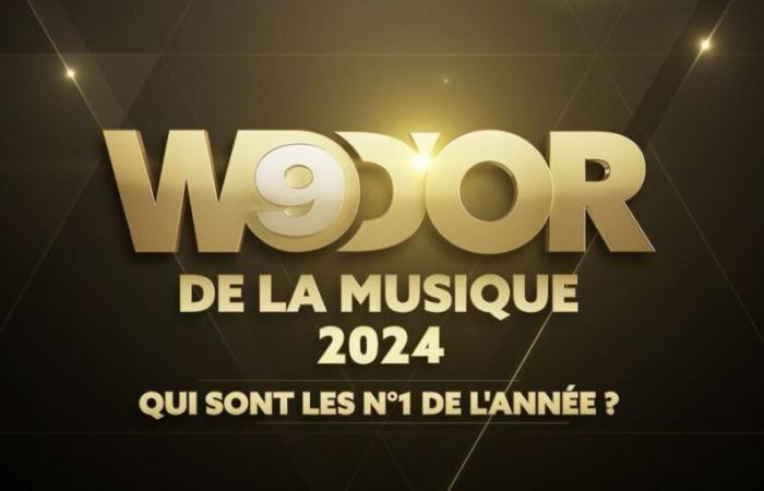 W9 d’Or 2024 – qui sont les n°1 de l’année ? Voici le palmarès