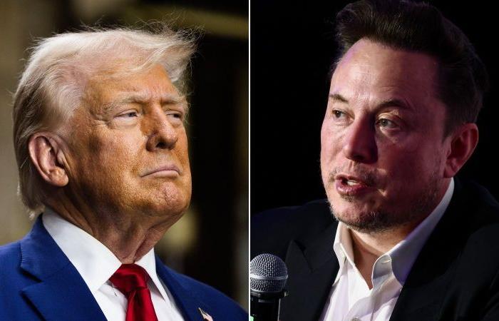 Trump et Musk déclenchent un nouveau type de chaos à Washington