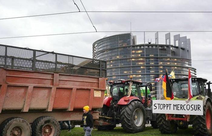 Tracteurs français et allemands réunis devant le Parlement européen