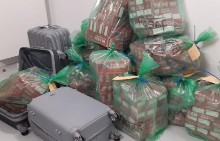 les valises de ces voyageurs arrivant d’Italie cachaient des marchandises suspectes