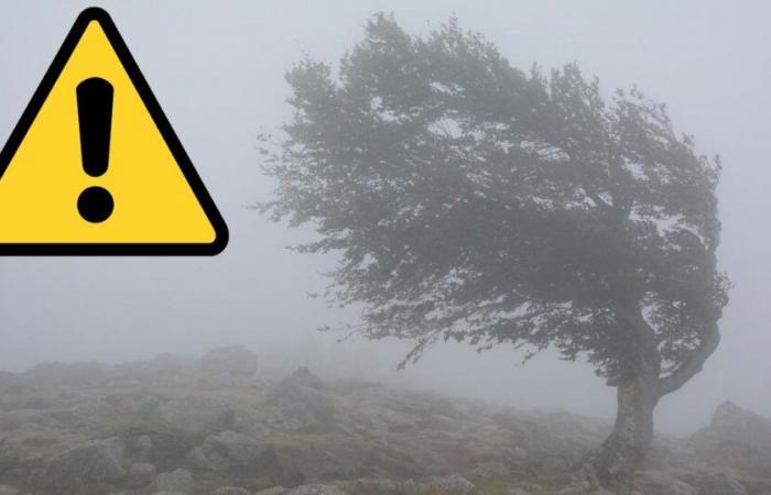 Le Met Office émet un avertissement météorologique le week-end pour Powys