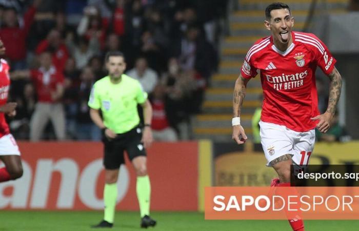 Il n’y a pas de brouillard ni de Lucas França qui puissent arrêter le vol de l’aigle. Benfica bat Nacional et est à un point du Sporting – I Liga