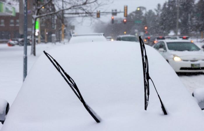 Quelle quantité de neige est tombée au Minnesota ?