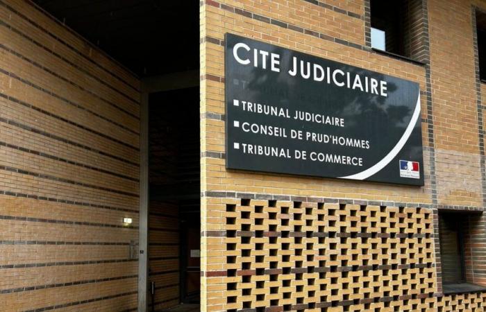 Un couple dijonnais condamné à mille euros d’amende pour actes de cruauté envers des chatons