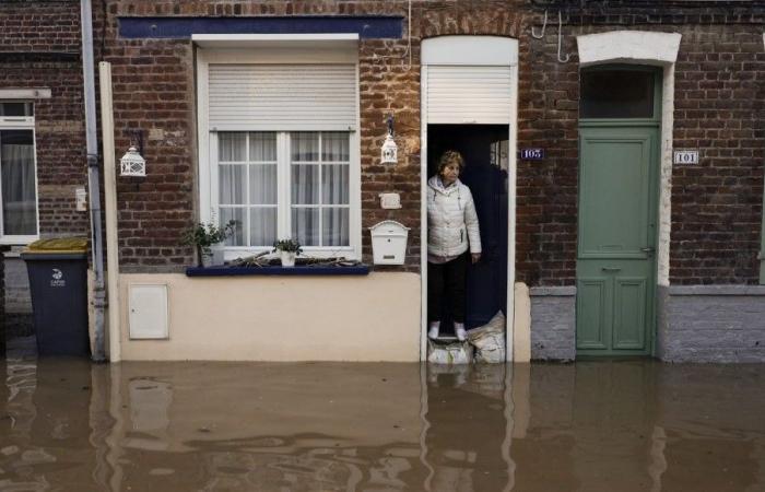 2024, une des années les plus chaudes et les plus pluvieuses