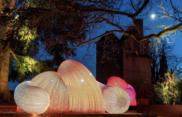 Blois. Quelles sont ces créatures surprenantes qui ont investi le château royal ?