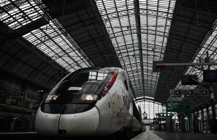 Condamnée à 18 ans de prison pour avoir accouché puis tué son nouveau-né dans un TGV