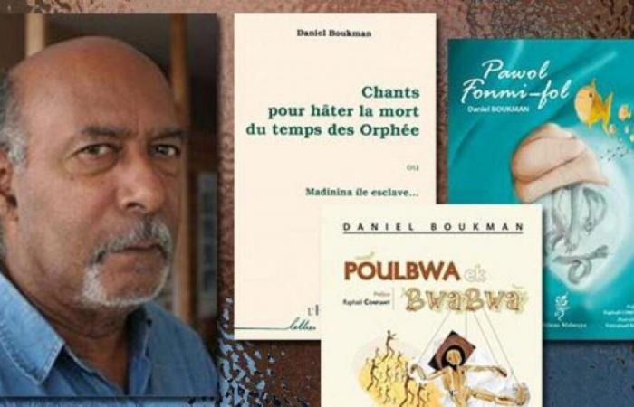 Lettre ouverte à l’attention de Victor Lazlo, organisateur du « Festival au pays des rêves » 11/2024