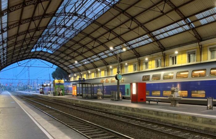 la nouvelle place de la gare inaugurée, un espace multimodal et vert