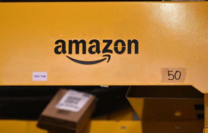 Grève chez Amazon aux Etats-Unis juste avant Noël