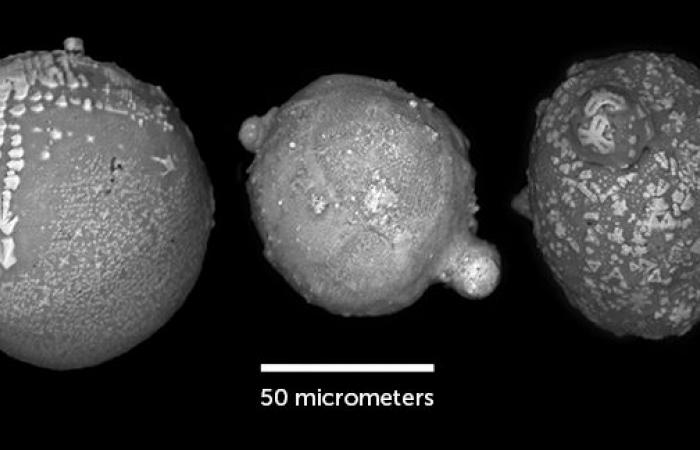 Ces prouesses scientifiques établissent de nouveaux records en 2024