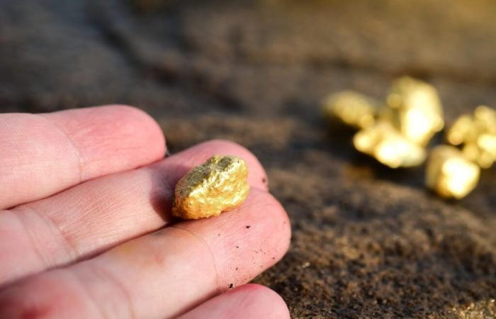 Cette région française attire les chercheurs d’or