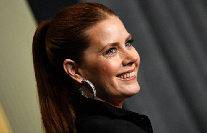 Jenna Fisher révèle pourquoi Amy Adams n’a presque pas été choisie pour “The Office”