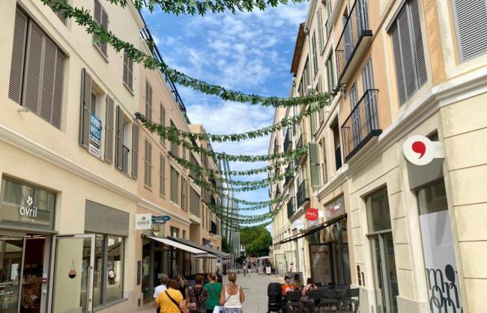 A Antibes, les quartiers Marenda-Lacan et les ports de la commune au moment du bilan communal