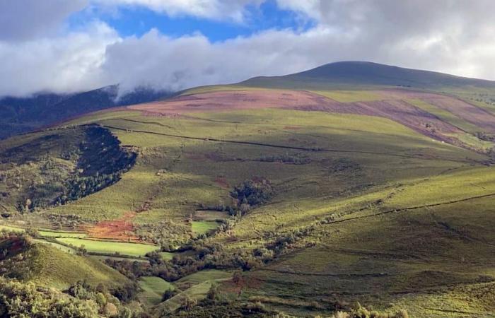 des fonds seront fournis pour la prévention des incendies de forêt dans les montagnes des paroisses rurales