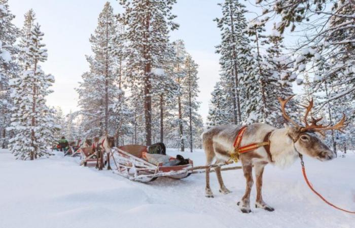 Quelle météo pour vos vacances de Noël en Europe ?