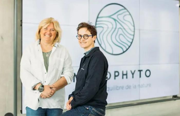 Mycophyto en mode scale-up affine sa levée de fonds de série A