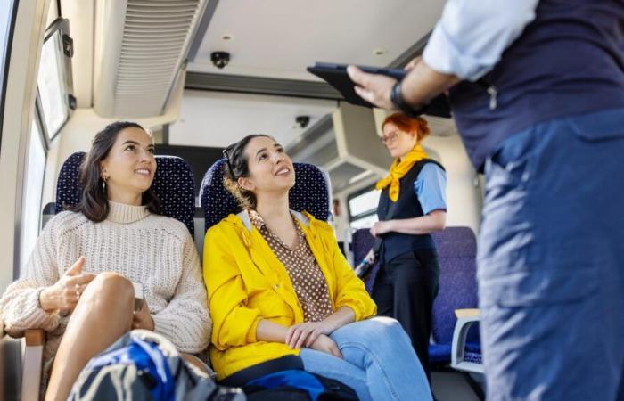 En Belgique, ce simple « bonjour » bilingue dans un train vire à la polémique nationale